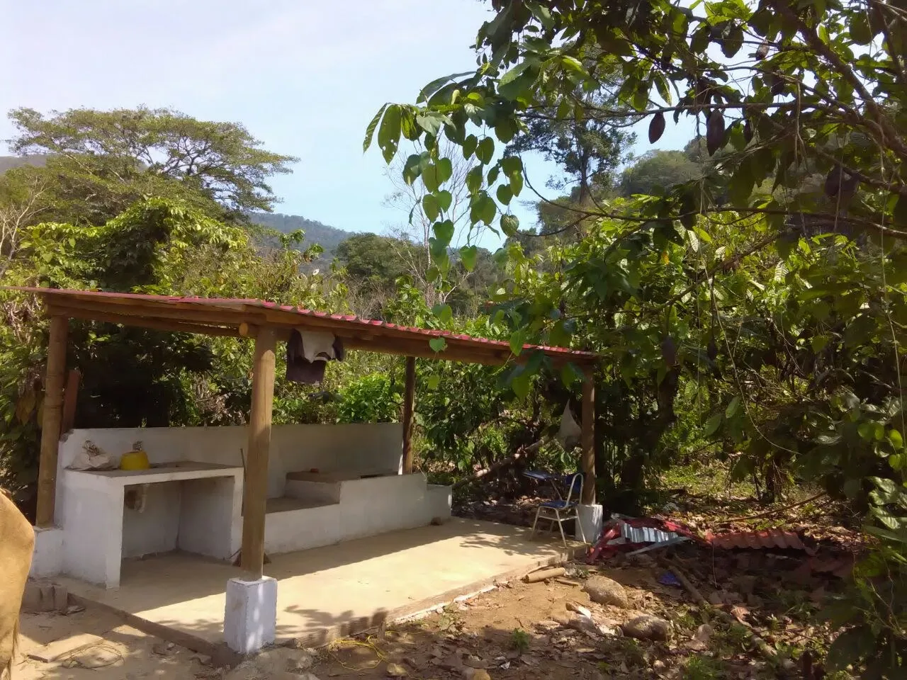 Zona de mesones bajo pérgola de madera